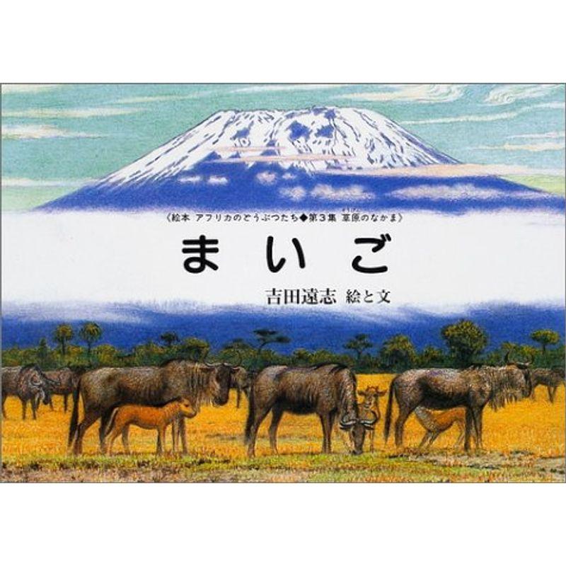 まいご (絵本アフリカのどうぶつたち第3集・草原のなかま)