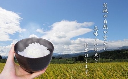 令和5年産 茨城ひとめぼれ 5kg 1袋 ひとめぼれ 白米 精米 ごはん お米 国産 茨城県産 守谷市 送料無料