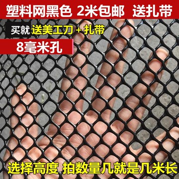、老鼠貓網防護兒童網防平樓梯塑料防貓網黑陽臺鐵絲安全窗戶網格