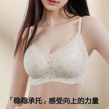 【2件裝】法式浪漫蕾絲內衣 薄款固定杯內衣 小胸聚攏 無痕內衣 提拉上托 防下垂內衣 調整型內衣 深V聚攏 集中