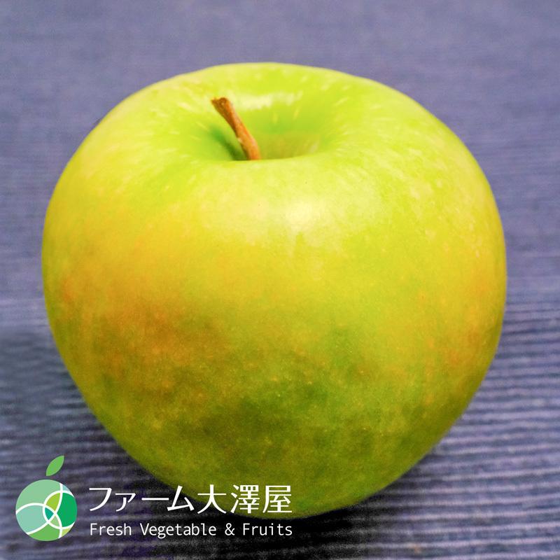 グラニースミス　りんご　約3kg　7-11玉　長野県産　クッキングアップル