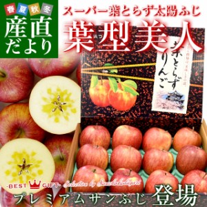 青森県より産地直送 JAつがる弘前 プレミアムサンふじ 葉型美人 (はかたびじん) 3キロ(10玉から13玉) 糖度14度以上 送料無料 林檎 りんご