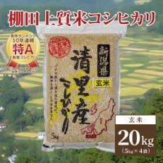 数量限定|令和5年産|新潟県上越市清里区北野産|棚田上質米コシヒカリ ...