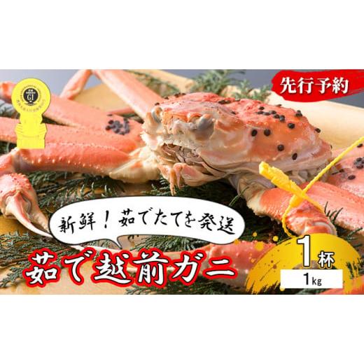 ふるさと納税 福井県 若狭町  茹で越前ガニ 約1kg×1杯 茹でガニ 蟹 かに 越前がに 越前ガニ ズワイガニ ずわい蟹 ずわいがに ボイルガニ 魚介 魚…