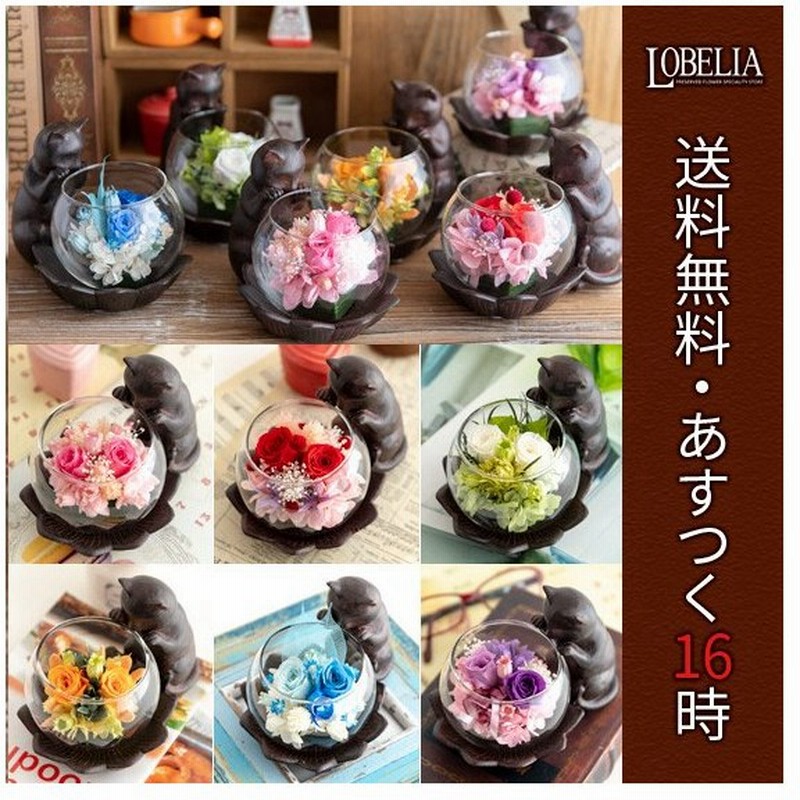 プリザーブドフラワー 花 誕生日 プレゼント 猫好き 女性 母 祖母 古希祝い 喜寿祝い 長寿祝い ブリザードフラワー やっぱり猫が好き なんだなぁ 通販 Lineポイント最大0 5 Get Lineショッピング