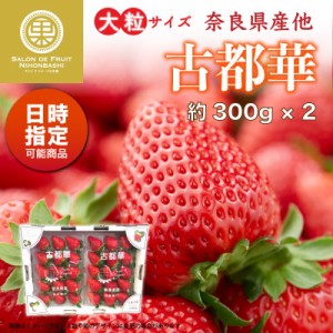 [予約 2024年1月5日-1月30日の納品] 古都華 2L 3Lサイズ 大粒 約300g×2 奈良県産ほか 高糖度 イチゴ いちご 苺 ブランドいちご ギフト