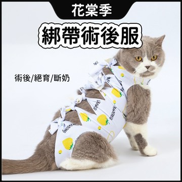 綁帶術後服 防舔衣 貓咪防舔衣 柔軟面料 貼身設計 整衣一體 結紮防舔衣 貓咪衣服 寵物衣服 防舔