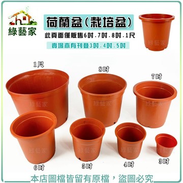 【綠藝家】荷蘭盆(栽培盆)6吋.7吋.8吋.1尺※賣場另有其他尺寸※紅盆 種植盆 花盆 栽植盆 塑膠花盆 育苗