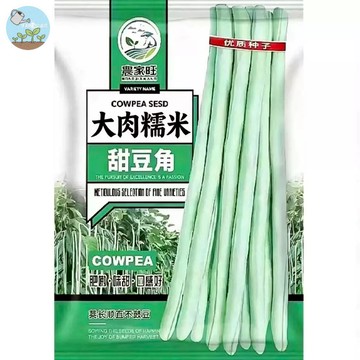 【原廠包裝】大肉糯米白甜豆角種子（45粒裝） 巨無霸長豆 台灣家庭菜園必種 肉厚少筋清甜 爬藤易種 四季豆角種子