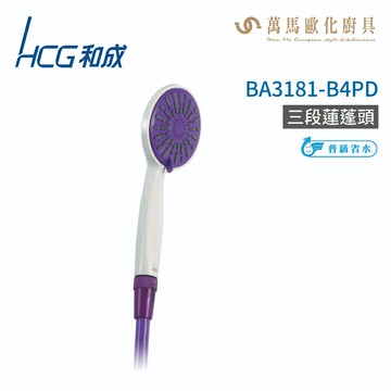 和成 HCG  方形蓮蓬頭 不含掛座  BA3181-B4PD 不含安裝