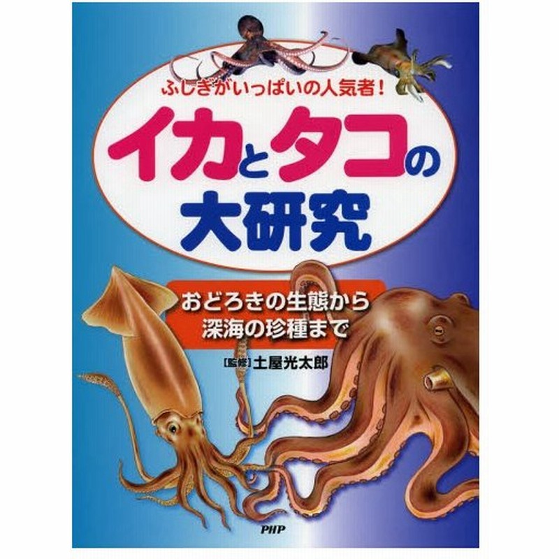 イカとタコの大研究 ふしぎがいっぱいの人気者 おどろきの生態から深海の珍種まで 通販 Lineポイント最大0 5 Get Lineショッピング