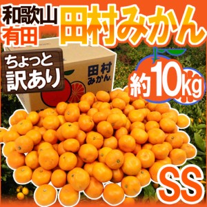 和歌山有田産 ”田村みかん” ちょっと訳あり SS 約10kg 産地箱 送料無料