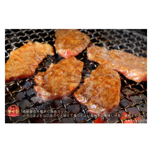 ふるさと納税 宮崎県 綾町 宮崎牛リブロース焼肉300g（36-187）