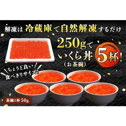 ふるさと納税 いくら醤油漬け 1kg＜250g ×2パック ×2箱＞ 小分け  国産 北海道産 いくら いくら醤油漬 イクラ ikura 天然 鮭 サーモ.. 北海道釧路町