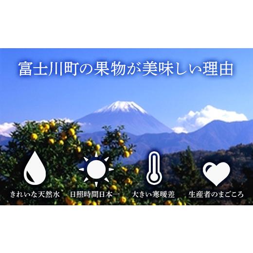 ふるさと納税 山梨県 富士川町 2024年発送分 シャインマスカット 2〜3房（約1.2kg） フルーツ 山梨 くだもの 大粒 人気 厳選 ブドウ ぶどう 葡萄 …