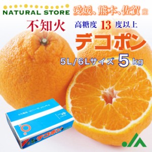 [予約 12月1日-12月31日の納品]  デコポン 不知火 5kg 熊本県産 佐賀県産 5L 6Lサイズ  柑橘 高糖度 みかんの王様 冬ギフト お歳暮 御歳