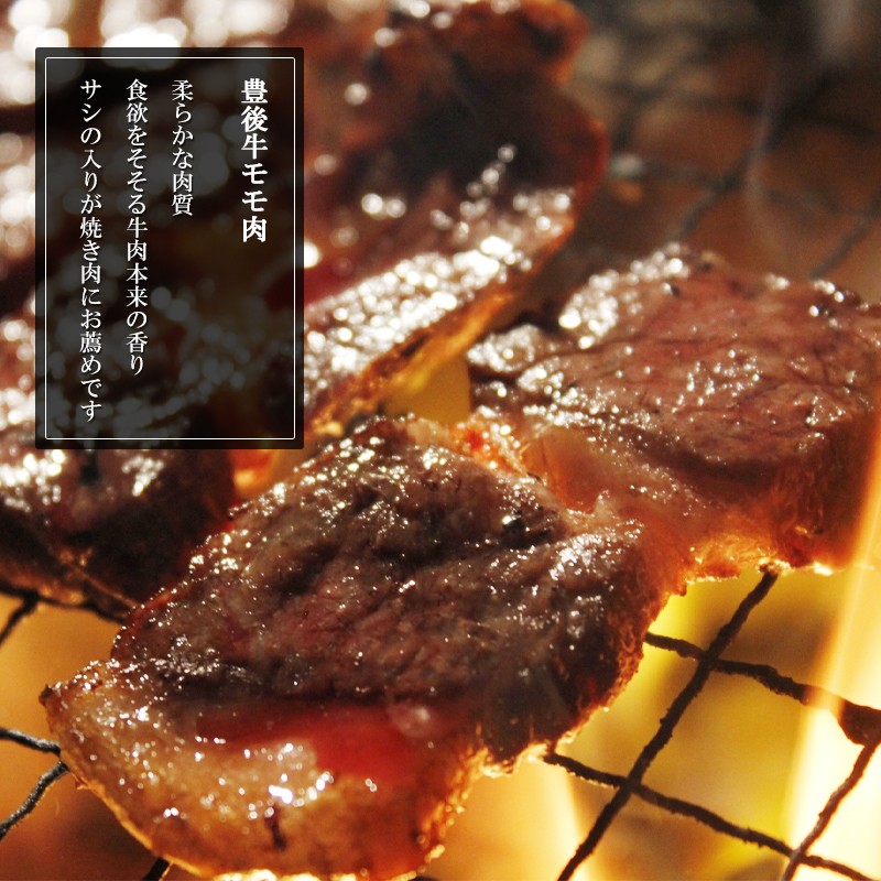 豊後牛 焼肉 セットもも300g バラ300g 生肉 冷蔵 大分 MTKMY-70