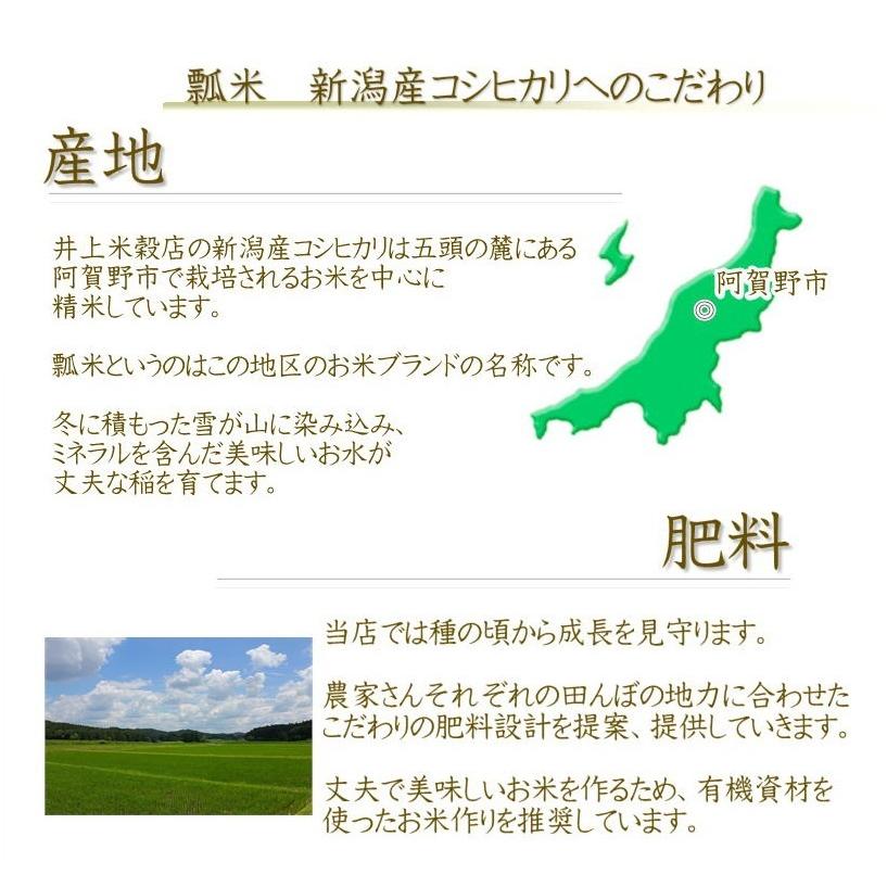 お米　新潟産コシヒカリ　5kg×２袋　精米　瓢米　特Ａ　贈答用にも　令和5年