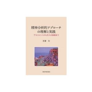 精神分析的アプローチの理解と実践 アセスメントから介入の技術まで   吾妻壮  〔本〕