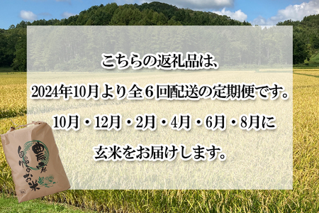 ＜ 予約 定期便 全6回 ＞ 北海道産 希少米 おぼろづき 玄米 5kg ＜2024年10月より配送＞