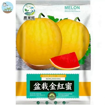 【原廠包裝】懶人也能豐收！盆栽金紅蜜瓜種子（Potted Golden Red Honey） 超甜爆汁 陽台盆栽可種