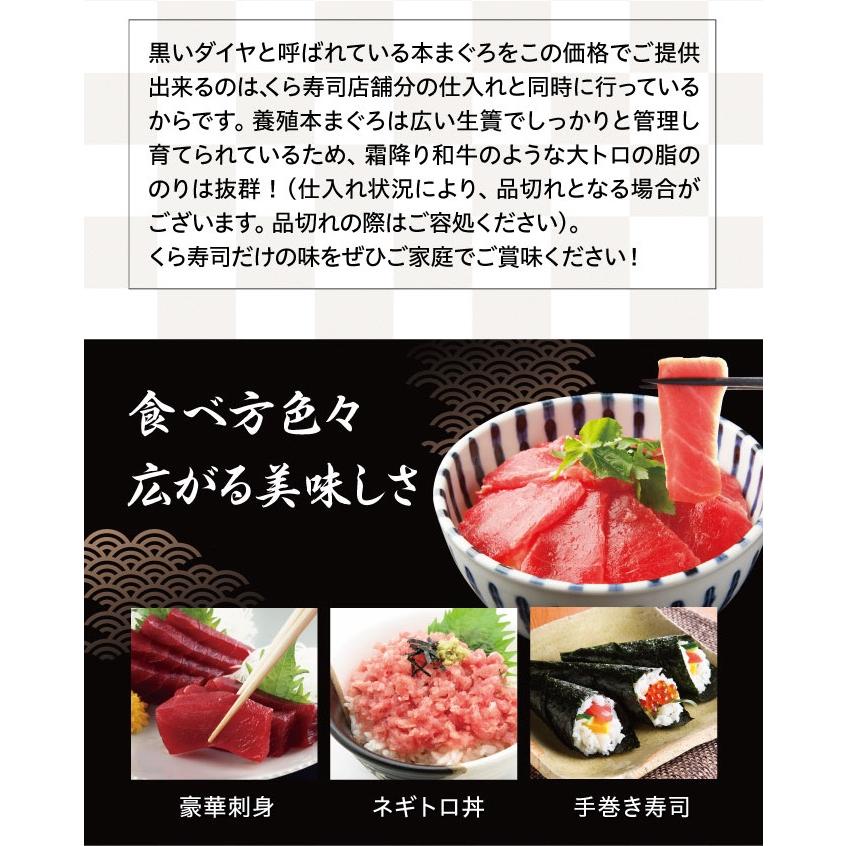 くら寿司 本まぐろ贅沢盛り (本マグロ大トロ：約150g 本マグロ中トロ：約150g 本マグロ赤身：約150g)  送料無料