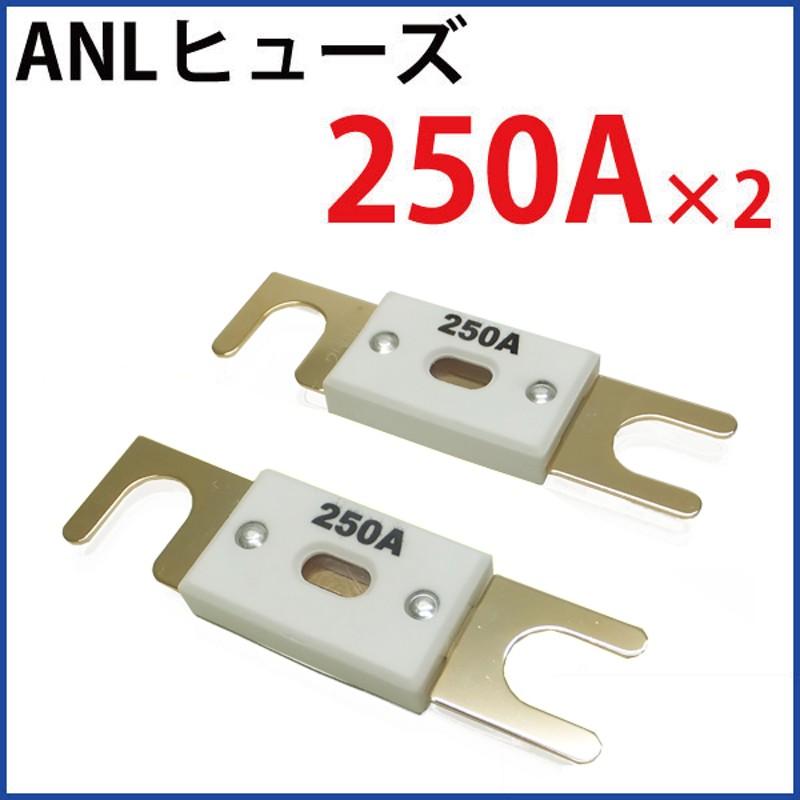 エルパ (ELPA) ガラス管ヒューズ ヒューズ 配線 保護 250V 1A 30mm 2個