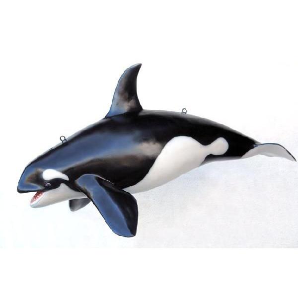 全長125cm！シャチ（オルカ）ミドルサイズフィギュア・吊り