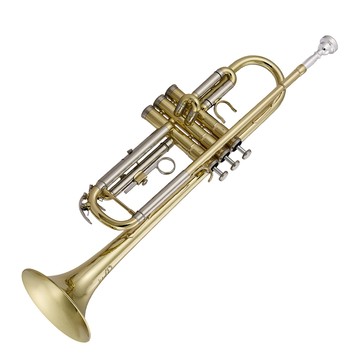 Weissenberg TP-580L 黃銅小號/金漆表面