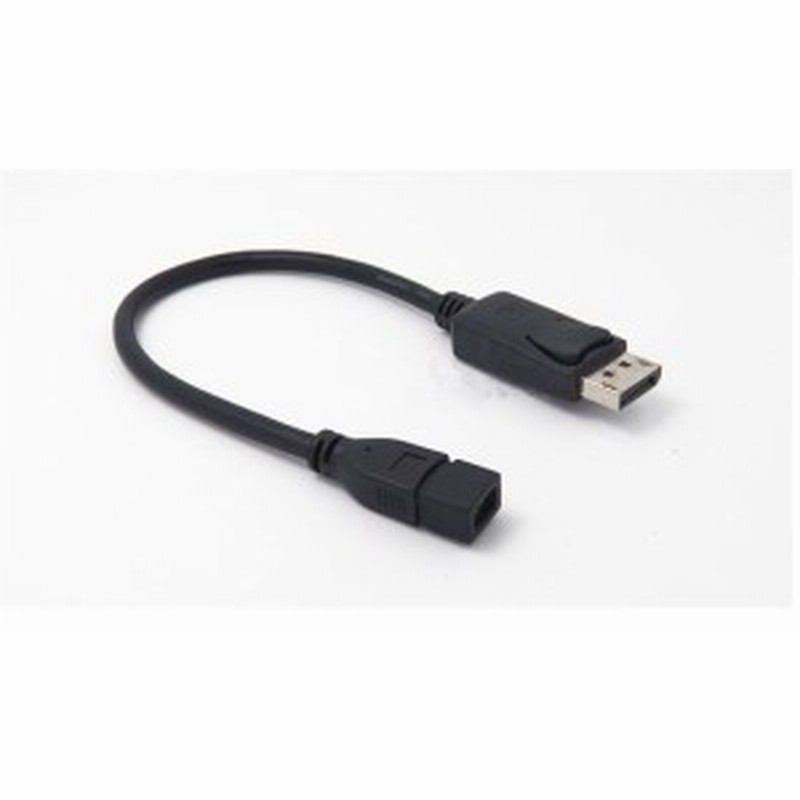 送料無料 Displayport To Mini Displayport 変換ケーブル Dp Mdp オス メス ミニ ディスプレイポートモニター用変換ケーブル 28cm 通販 Lineポイント最大1 0 Get Lineショッピング