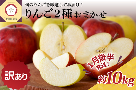   りんご 約10kg 青森産 品種おまかせ2種以上