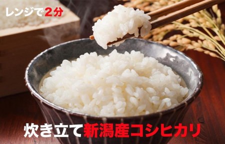 吉野家 とん汁 パックご飯 セット(大) 新潟産コシヒカリ 日本の朝食セット