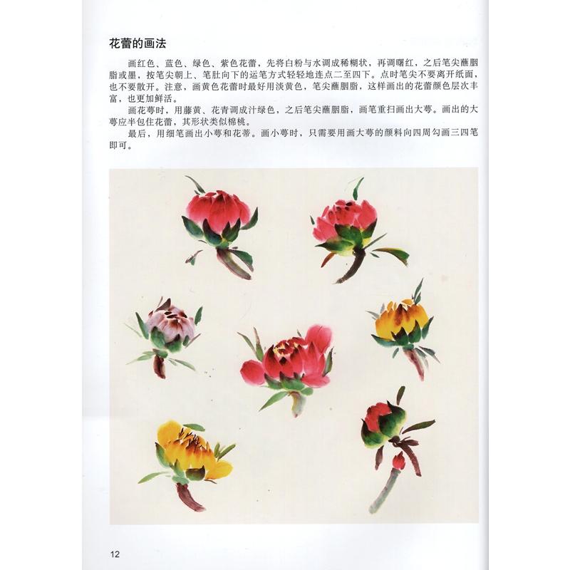 七彩牡丹　中国画初心者技法　中国絵画 七彩牡丹　国画初学技法