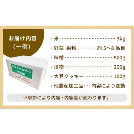 ふるさと納税 農産物直売所おススメ商品詰め合わせ 野菜 米 加工品 野菜 フルーツ 米 漬物[HAG001] 佐賀県江北町