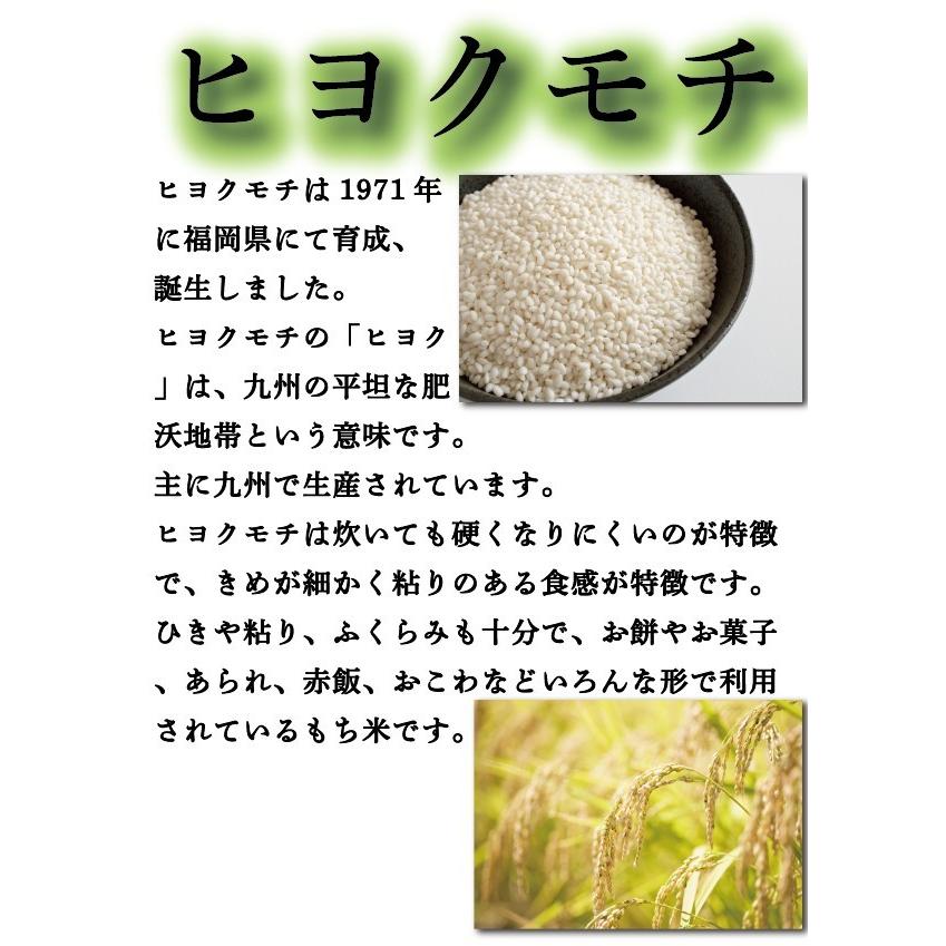 お米 米 10kg もち白米 熊本県産 ヒヨクモチ あすつく 新米 令和5年産 5kg2個 くまもとのお米 富田商店 とみた商店