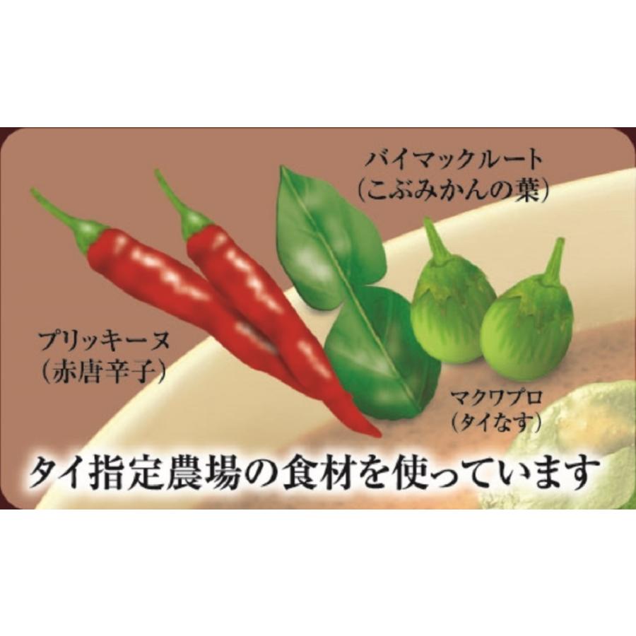 ヤマモリ タイカレー レッド 180g