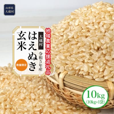 令和5年産　はえぬき[玄米]10kg(10kg×1袋)～地域農業応援返礼品～