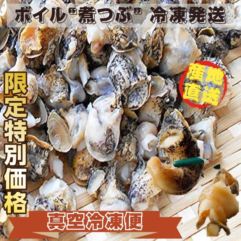 煮ツブ（灯台つぶ）真空冷凍300ｇ パック×２袋　産地直送　送料無料