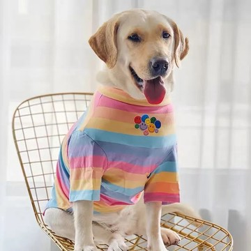 【臺灣出貨】狗狗衣服夏季大型犬衣服金毛拉布拉多薄款衣服網紅衣服防掉毛衣服04ks
