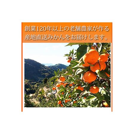 ふるさと納税 大玉サイズ　完熟有田みかん　１０kg※2023年11月下旬〜2024年1月下旬頃に順次発送予定 和歌山県美浜町