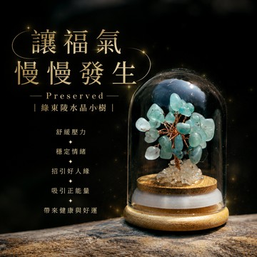 💛枝上結晶，桌上生財🌱【Montagne｜免運】Preserved｜綠東陵｜財富。貴人