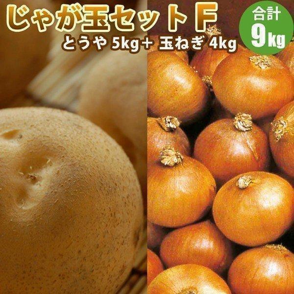 じゃがいも ジャガイモ じゃが玉セットＦ とうや 5kg 玉ねぎ 4kg （新じゃがいも） 野菜 北海道産 お礼 御祝 産直 内祝 北海道ギフト