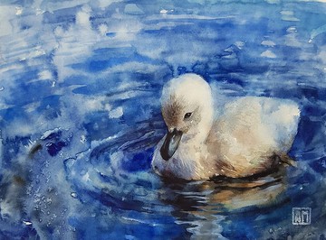 小天鵝-藝術品手繪水彩紙本
