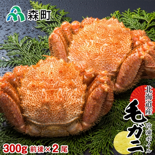 北海道産 冷凍ボイル毛ガニ 300g前後×2尾 ＜森水産加工業協同組合＞ かに カニ 蟹 ガニ がに 森町 ふるさと納税 北海道 毛蟹 毛かに 毛ガニ 毛カニ mr1-0412