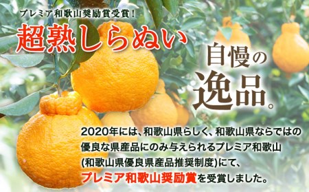 採れたてフレッシュ! 超完熟・葉付き 不知火 3kg まるまつ農園《3月中旬-4月末頃より順次出荷》  和歌山県 日高川町 不知火 柑橘 しらぬい  完熟