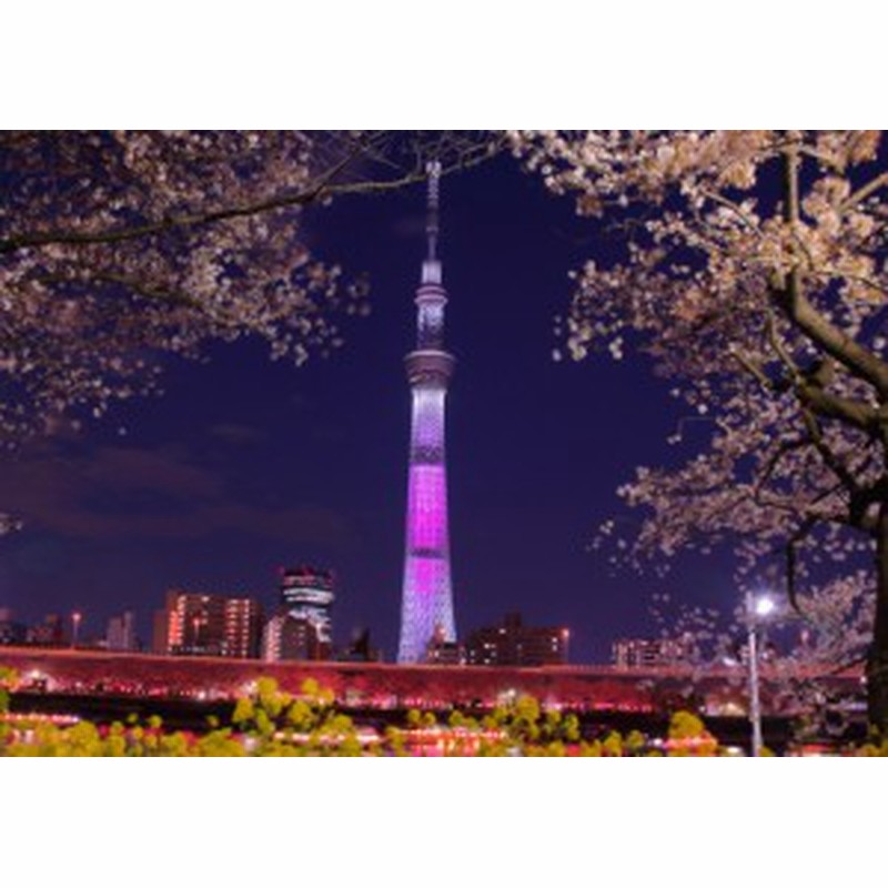 絵画風 壁紙ポスター 東京スカイツリーと夜桜 ライトアップ ピンク 夜景 Tst 010a2 版 594mm 4mm 通販 Lineポイント最大1 0 Get Lineショッピング