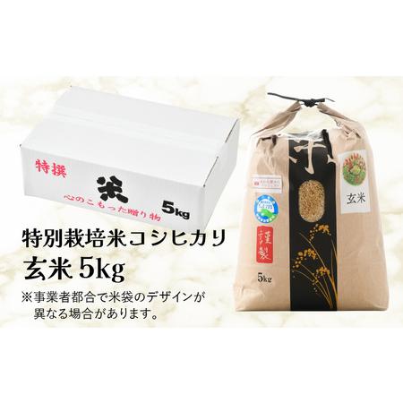 ふるさと納税 ワルツ農場のコシヒカリ 玄米 5kg 特別栽培米減農薬 有機肥料使用  ／ お米 .. 福井県あわら市