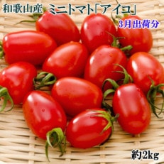 和歌山産ミニトマト「アイコトマト」約2kg(S・Mサイズおまかせ)新宮市