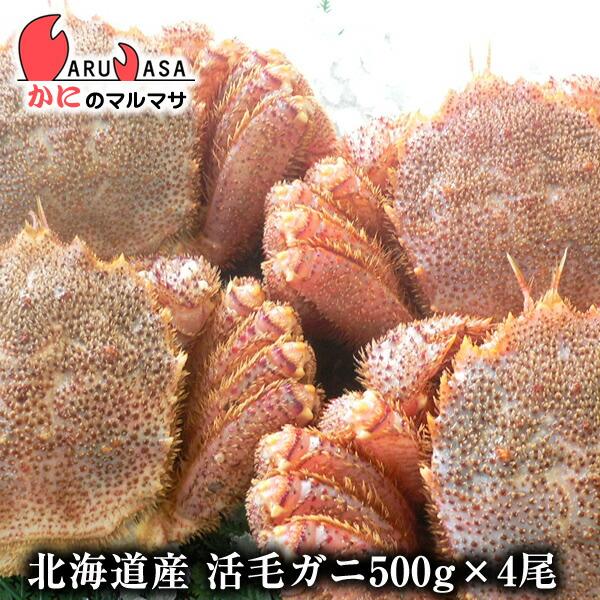 活毛がに 500g 4尾セット 北海道産 極上毛ガニ お歳暮 ギフト お土産 通販