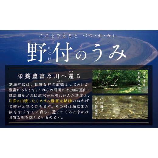 ふるさと納税 北海道 別海町 「秋鮭の切り身（無塩）」2.8kg（ 鮭 切身 鮭 切り身 シャケの切り身 訳ありサケ 訳あり鮭 訳あり秋鮭 …